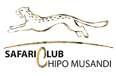 Safari-Club-Chipo-Musandi